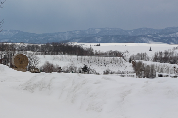 美瑛「新栄の丘」と積雪