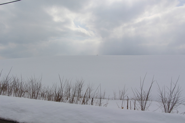 積雪期の美瑛の丘