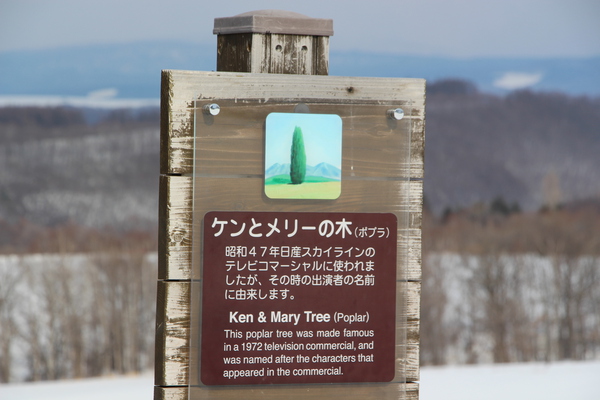 積雪期の「ケンとメリーの木」説明板