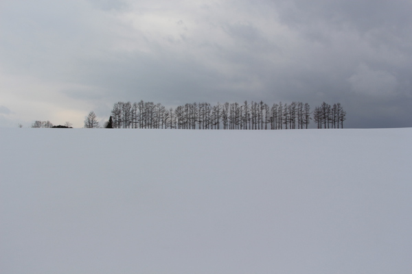 積雪期の「マイルドセブンの丘」