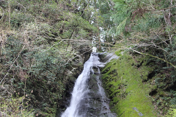 春の西祖谷「琵琶の滝」