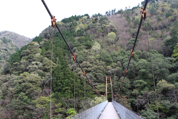 小歩危峡に架かる赤川橋（吊り橋）/癒し憩い画像データベース