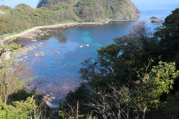 ˭��������ߡ֥��Х�ȥ֥롼�γ���/�����Ƥ������ǡ����١���