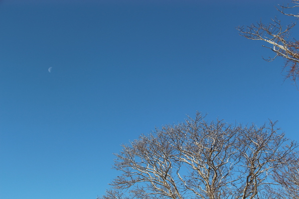 積雪期の風蓮湖「青空と朝の月」