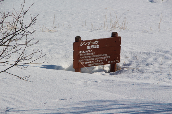 積雪期の風蓮湖「散策路そばのタンチョウ生育地の標識」