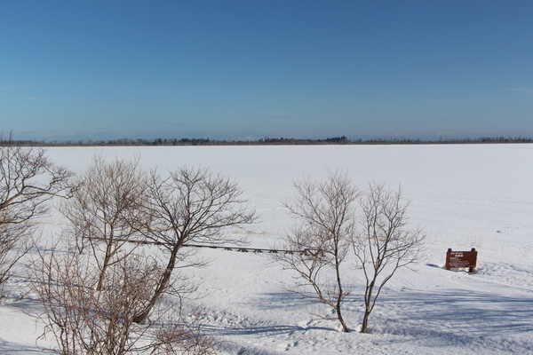 氷結した湖と岸の散策路