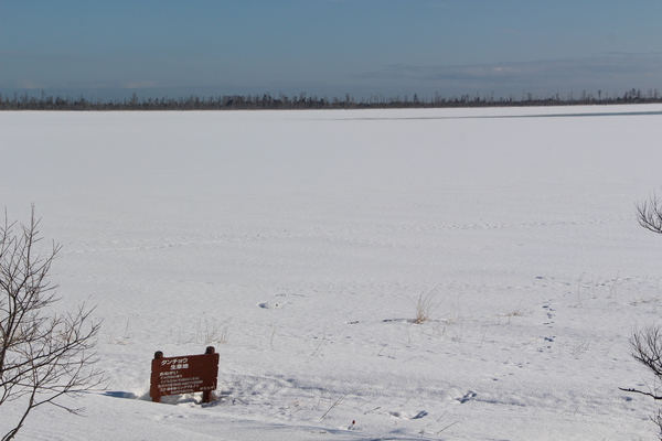 積雪期の風蓮湖「氷結した湖と散策路」