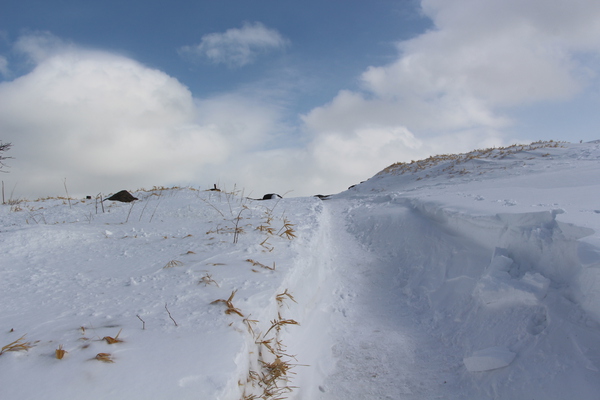 丘への雪道