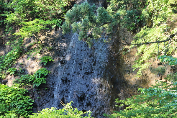 春の羽黒山「新緑に囲まれた須賀の滝」