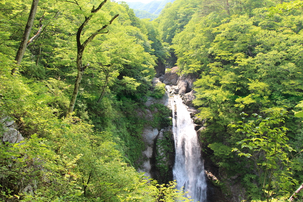 春・新緑期の「秋保大滝」/癒し憩い画像データベース