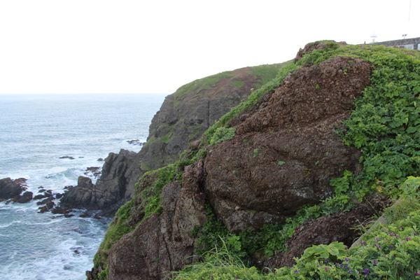 新緑期の襟裳岬の断崖