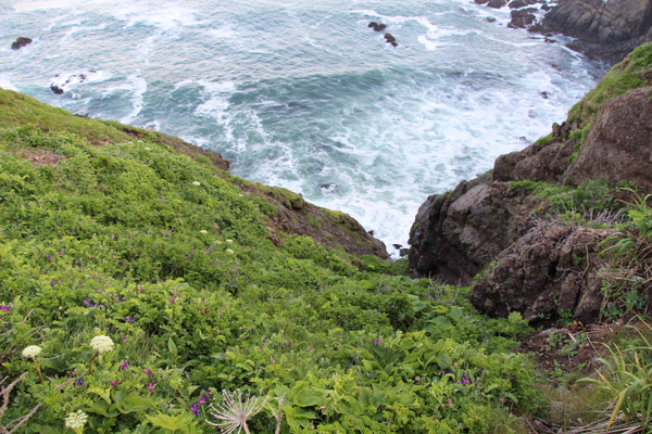新緑期の襟裳岬「断崖と白波」