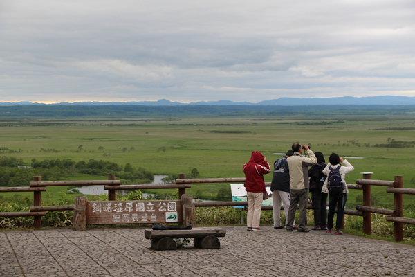 新緑期の釧路湿原を眺める人々