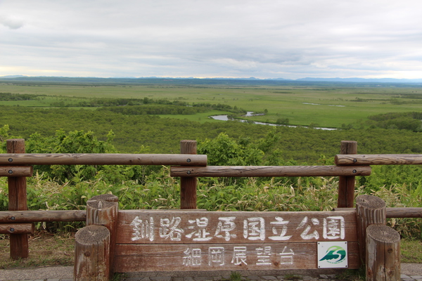 「細岡展望台」から見た新緑期の釧路湿原