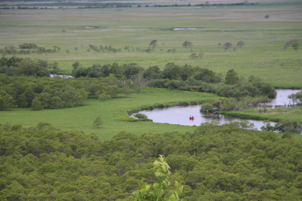 新緑期の釧路湿原と蛇行する川
