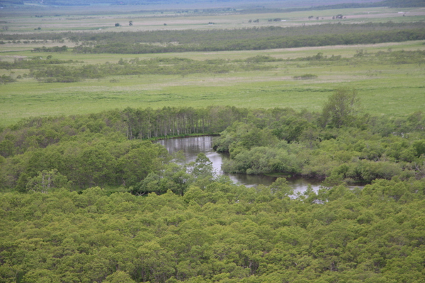 新緑期の釧路湿原と蛇行する川