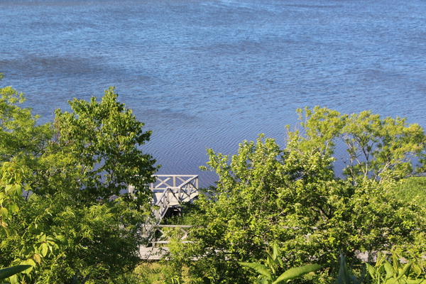 ��Ƥ���Ϣ�Сֻ���ϩ����ƻ�ȿ���/�����Ƥ������ǡ����١���