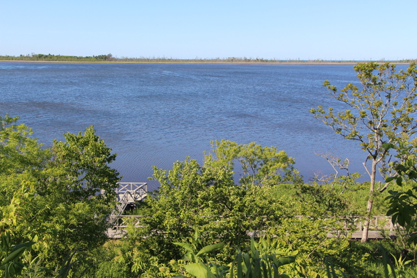 ��Ƥ���Ϣ�С֤����Ȥȿ���/�����Ƥ������ǡ����١���