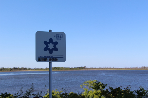 ��Ƥ���Ϣ�С֥�ॵ�������ɸ����/�����Ƥ������ǡ����١���