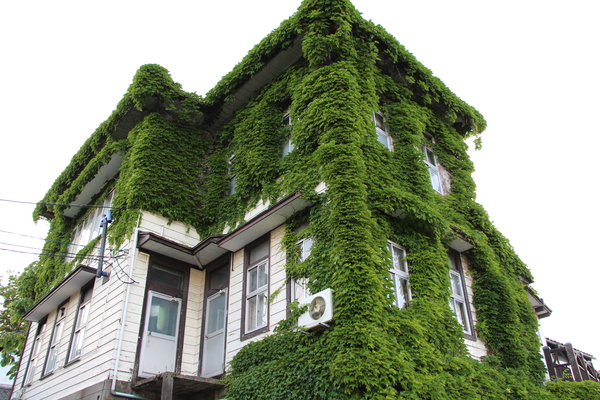 դλҸˡֵǰۤȿФա/Ƥǡ١