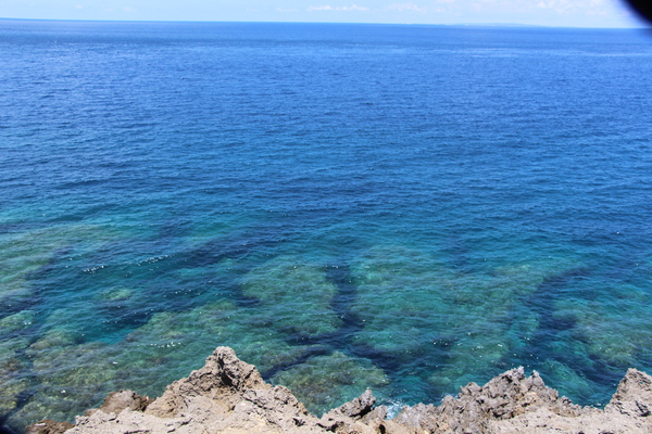 エメラルドグリーンの海と珊瑚礁
