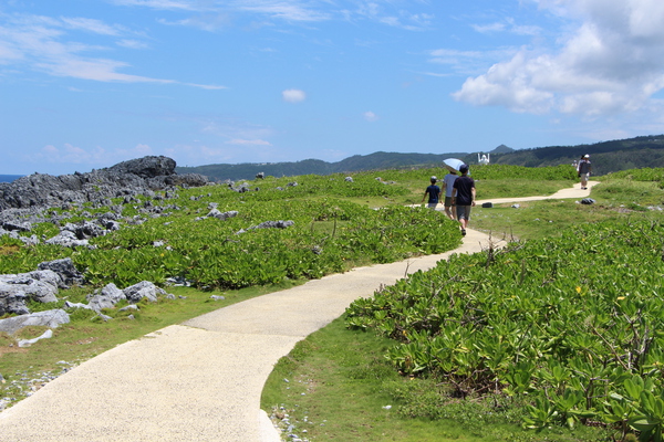 夏の沖縄「辺戸岬の遊歩道」/癒し憩い画像データベース