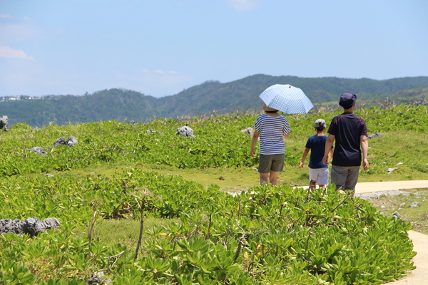 夏の沖縄「辺戸岬の家族」/癒し憩い画像データベース