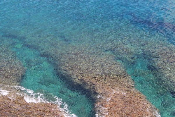 夏の沖縄「辺戸岬のサンゴ礁の海岸」/癒し憩い画像データベース