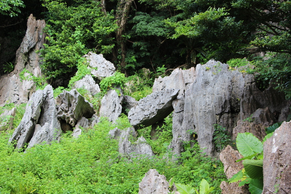 カルスト地形の琉球石灰岩群/癒し憩い画像データベース