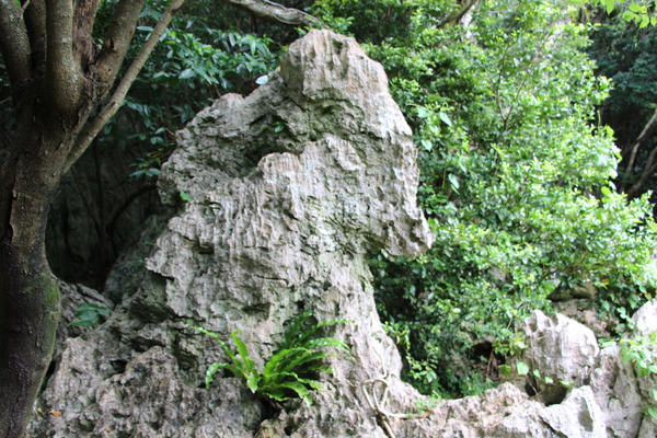 奇岩の「ヒグマ岩」