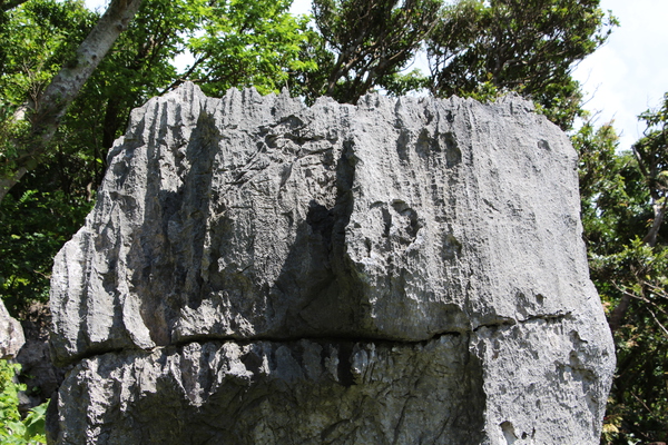 露出した巨岩「石灰岩のピナクル」