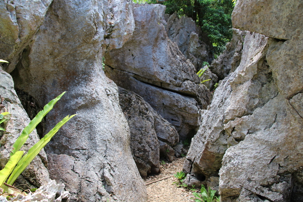 琉球石灰岩の巨岩群