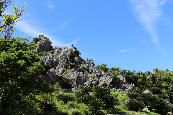 カルスト地形の大石林山丘と青空/癒し憩い画像データベース