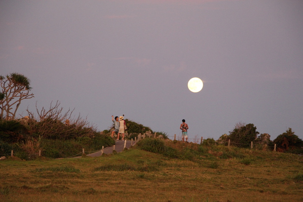 夕方の「満月」/癒し憩い画像データベース