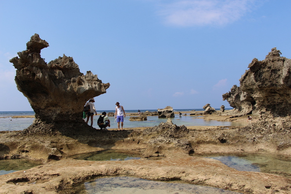 琉球石灰岩の奇岩群