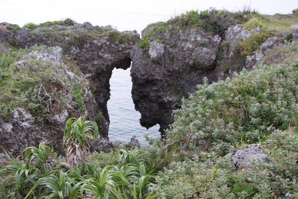 夏の沖縄・万座毛「隆起サンゴの岩と海食」