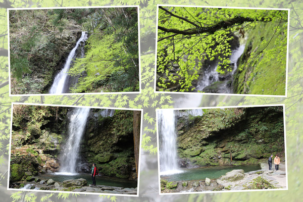 新緑期の西祖谷「琵琶の滝」