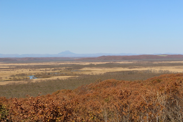 秋の青空と釧路湿原