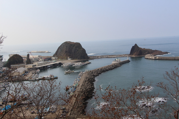 ���μ�Τ�֥��ȥ����ȴ䷲��/�����Ƥ������ǡ����١���