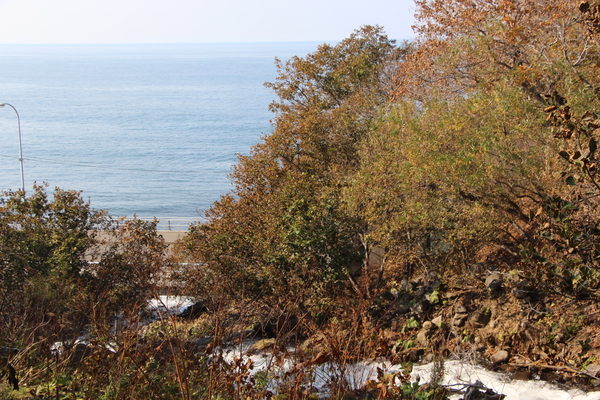 秋の「オシンコシンの滝」からの渓流と海