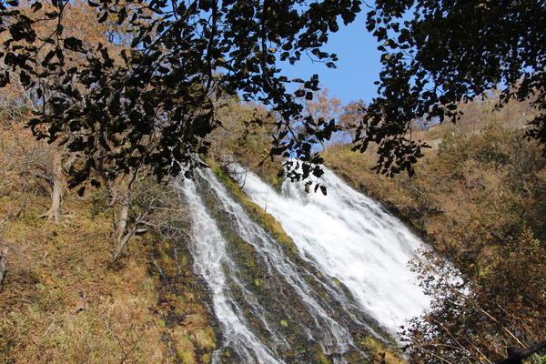 秋の森に囲まれた「オシンコシンの滝」