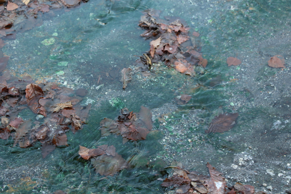 秋の川湯温泉「落葉と緑苔の湯の川」