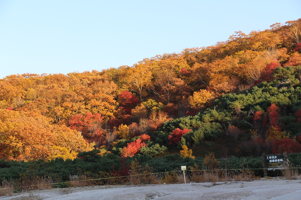 川湯・硫黄山「山麓の秋模様」