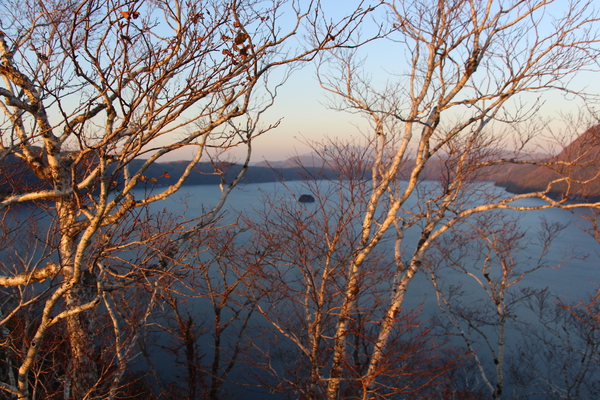 秋の夕陽に照る摩周湖の木々/癒し憩い画像データベース