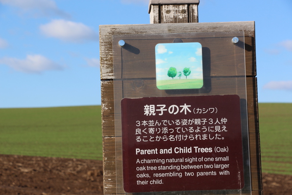 秋の「親子の木」説明板