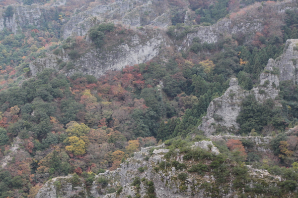 秋の寒霞渓/癒し憩い画像データベース