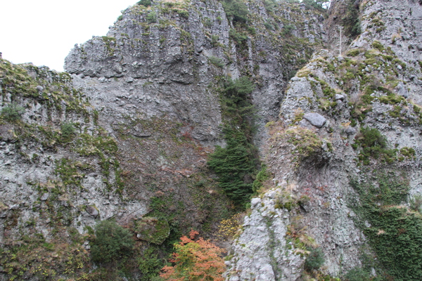 秋の小豆島「寒霞渓の岩柱」