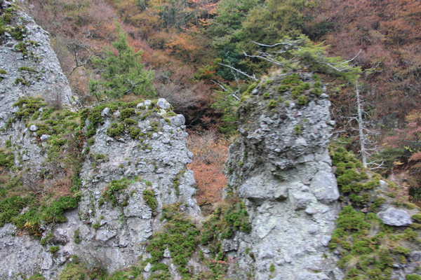 秋の小豆島「寒霞渓の紅葉と岩柱」/癒し憩い画像データベース