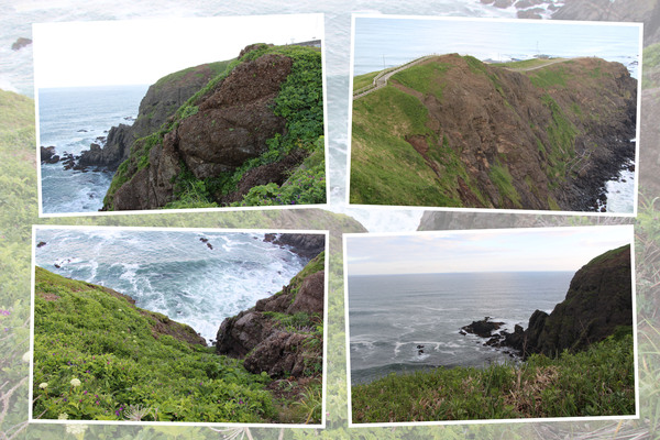 新緑期の襟裳岬「海岸と断崖」