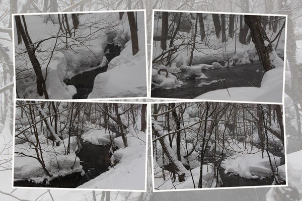 積雪期の奥入瀬「急流の渓流」
